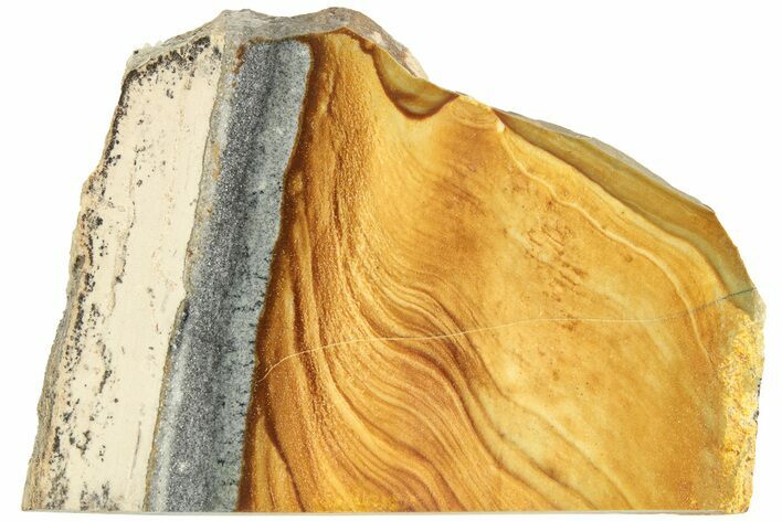 Polished Golden Picture Jasper Slice - Nevada #207623